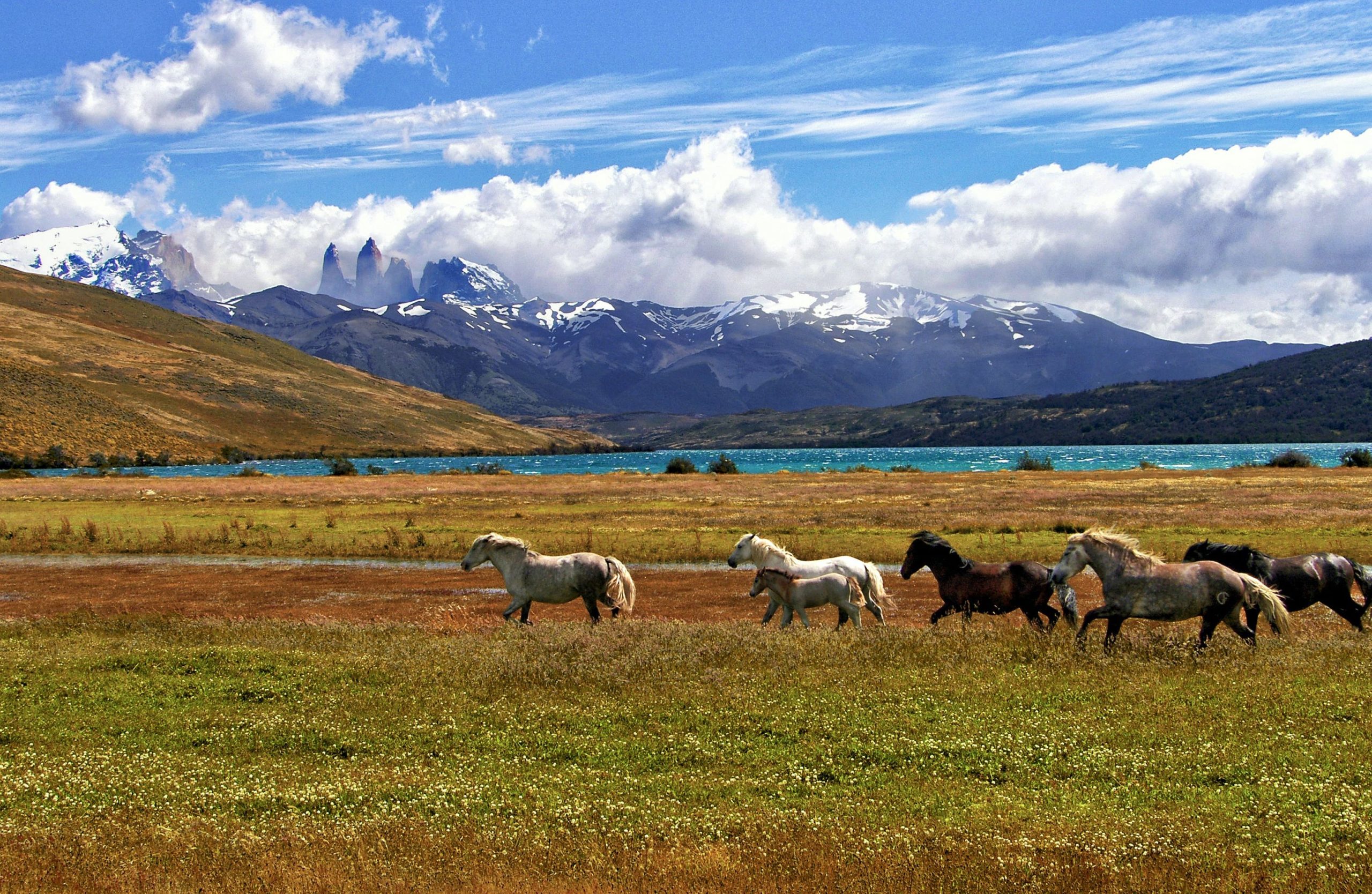 7 powodów, dla których warto odwiedzić Patagonię